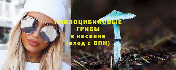 соль ск Михайлов