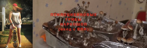трава Михайловск
