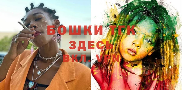 соль ск Михайлов