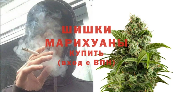 соль ск Михайлов