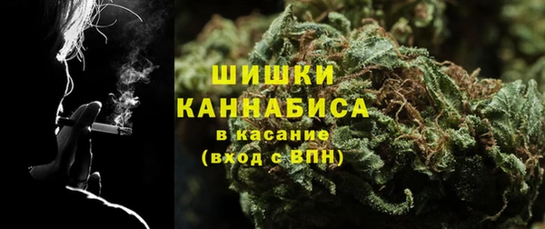 соль ск Михайлов