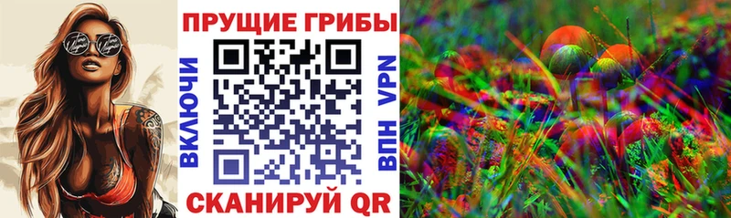 Псилоцибиновые грибы прущие грибы  kraken как войти  Фрязино 